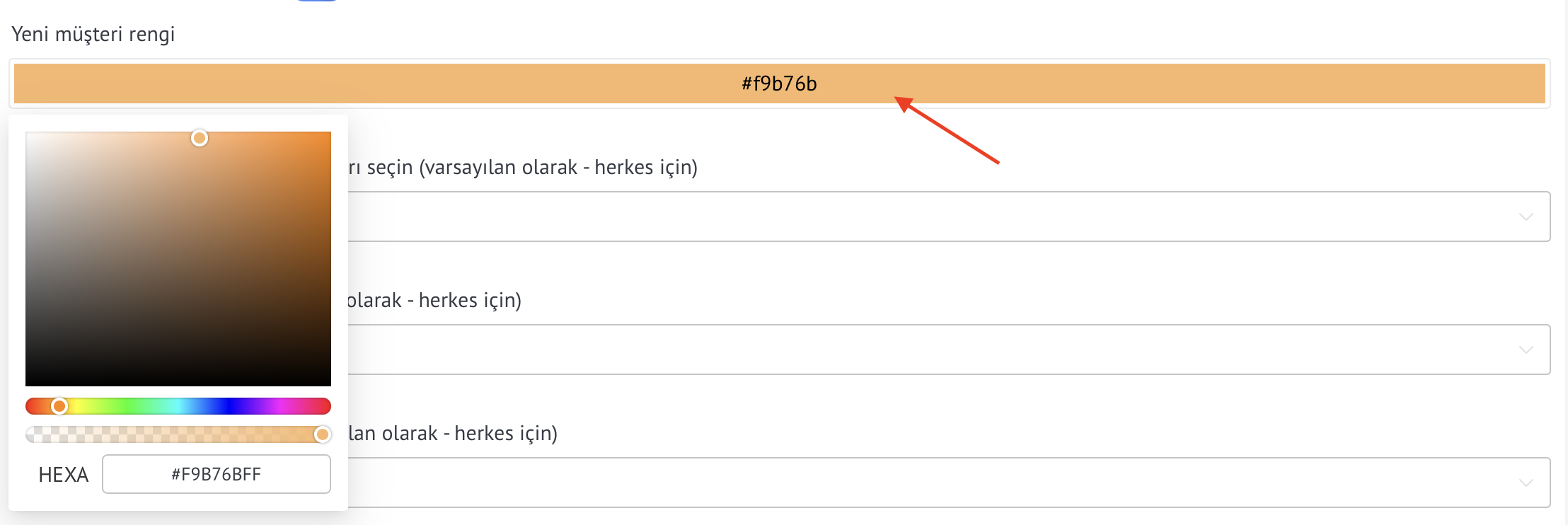 Switcher Yeni istemci fişini göster